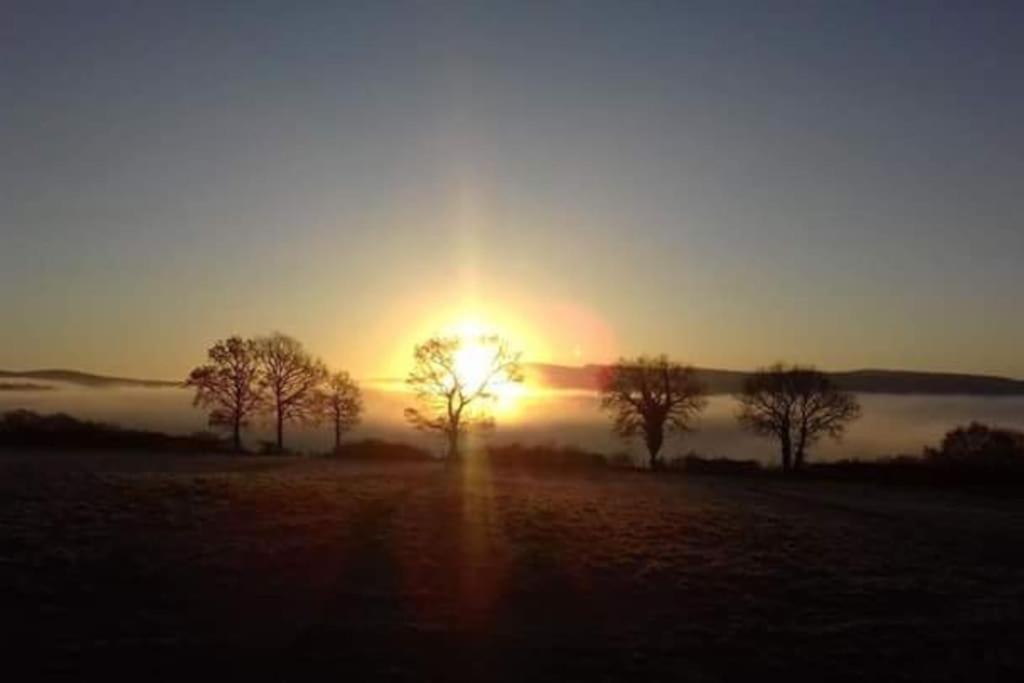 Perfect Cottage Retreat Near The Brecon Beacons Llanwrda Экстерьер фото